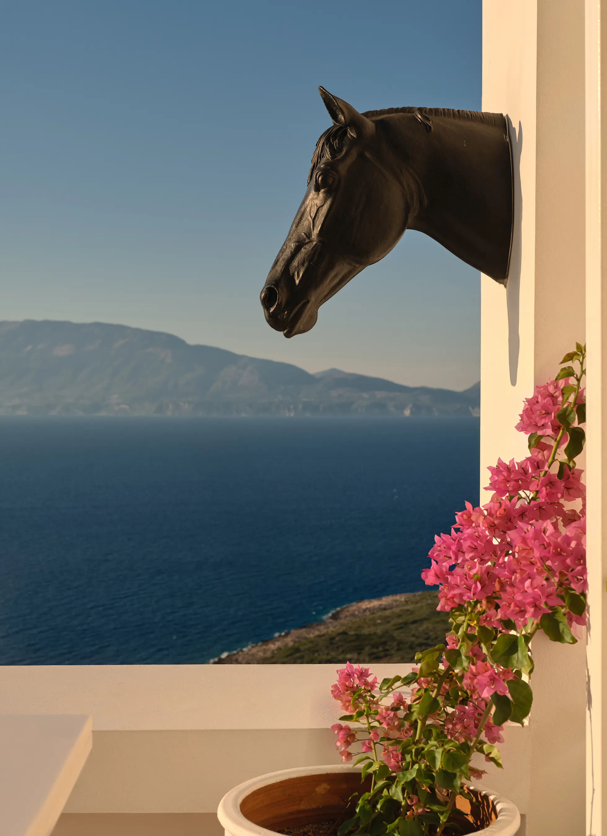 Decorative horse-head sculpture mounted on a wall beside a bougainvillea plant, framing a sea view