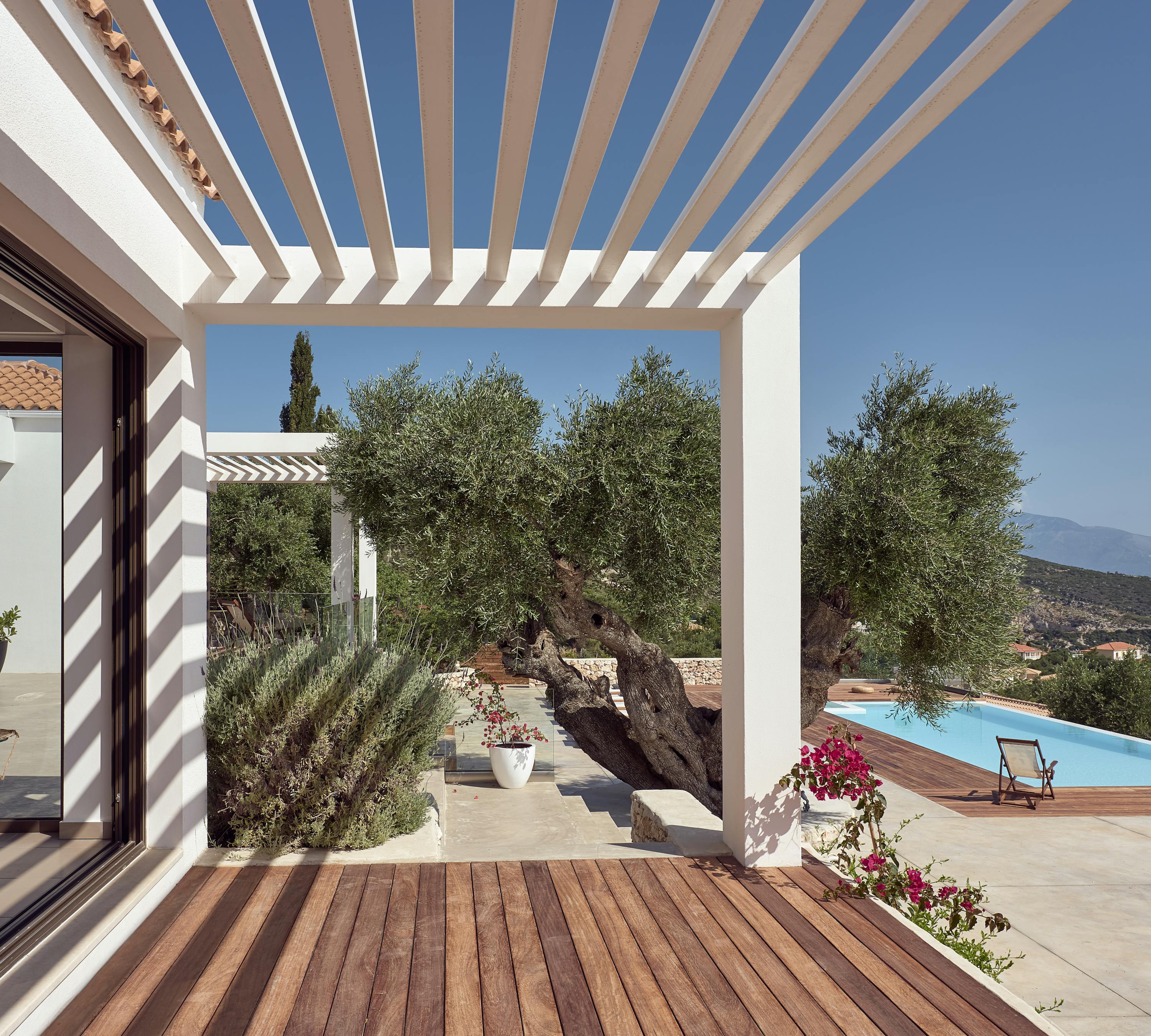 Covered terrace with white pergola, ancient olive tree, and views of pool and coastline.