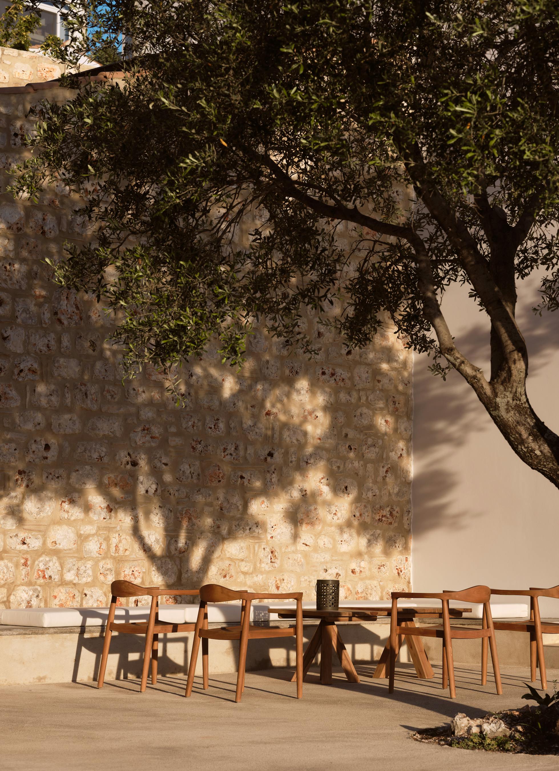 Outdoor dining area beneath ancient olive tree against weathered stone wall, bathed in dappled afternoon sunlight.