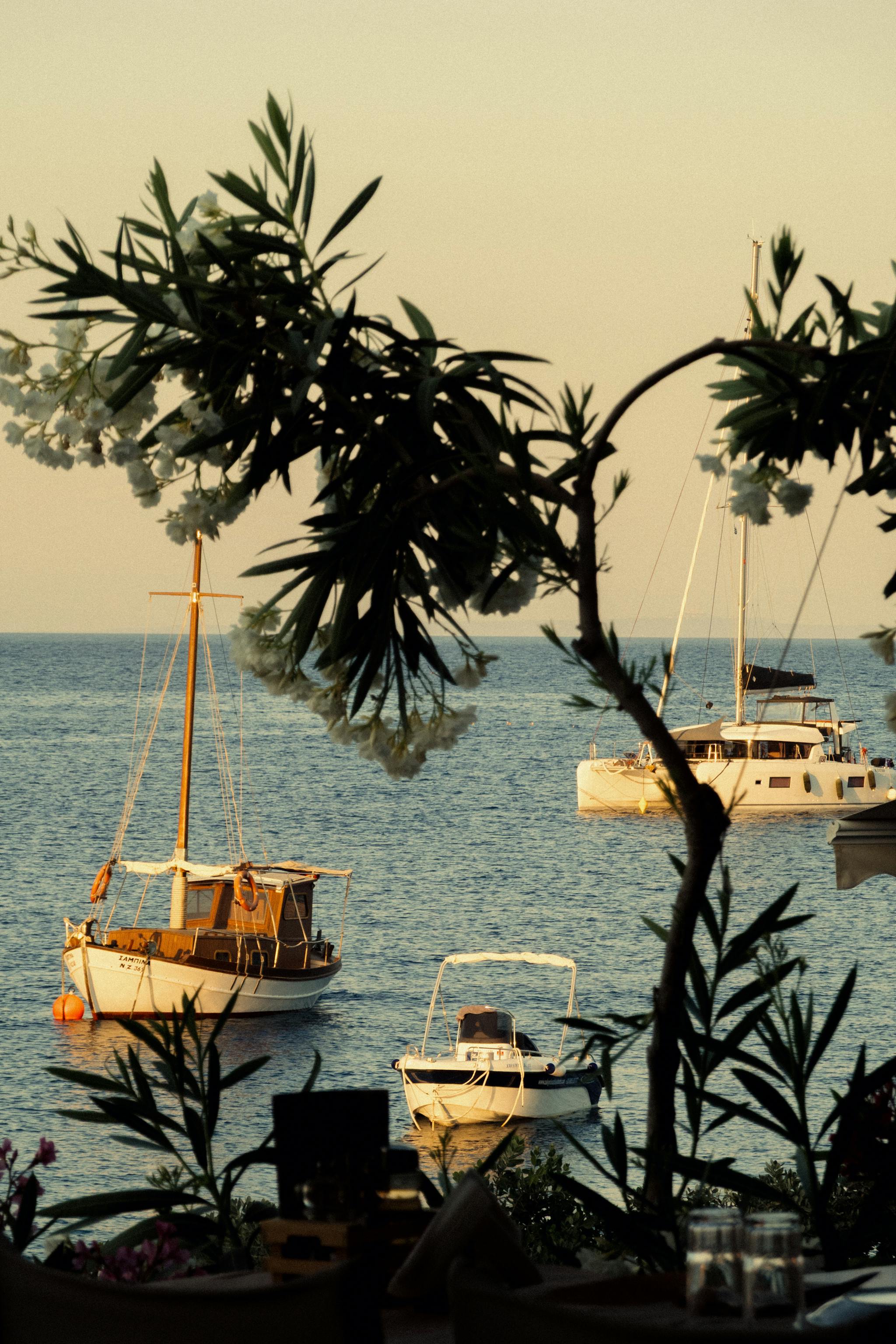 A tranquil Mediterranean harbor scene viewed through flowering oleander branches, showing several boats including a classic wooden sailboat with an orange buoy, a small motorboat, and a modern catamaran anchored in calm blue waters at dusk. The warm golden light creates a peaceful coastal atmosphere with silhouetted vegetation framing the maritime view.