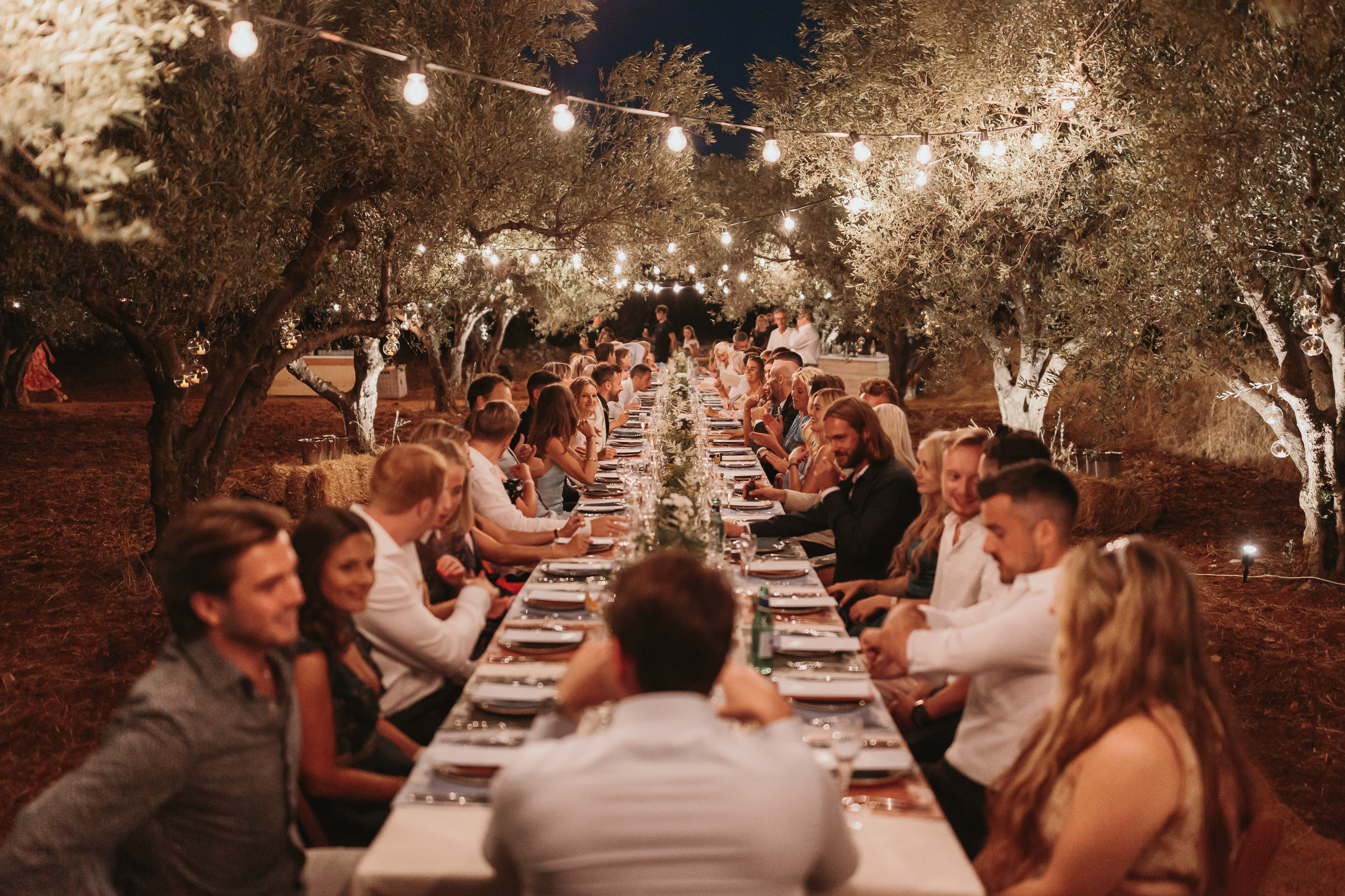 Evening wedding reception dinner in an olive grove with guests seated at a long table under string lights. The romantic outdoor setting features illuminated olive trees creating ambient lighting, with guests in formal attire enjoying dinner along both sides of the white-clothed table decorated with greenery runners.