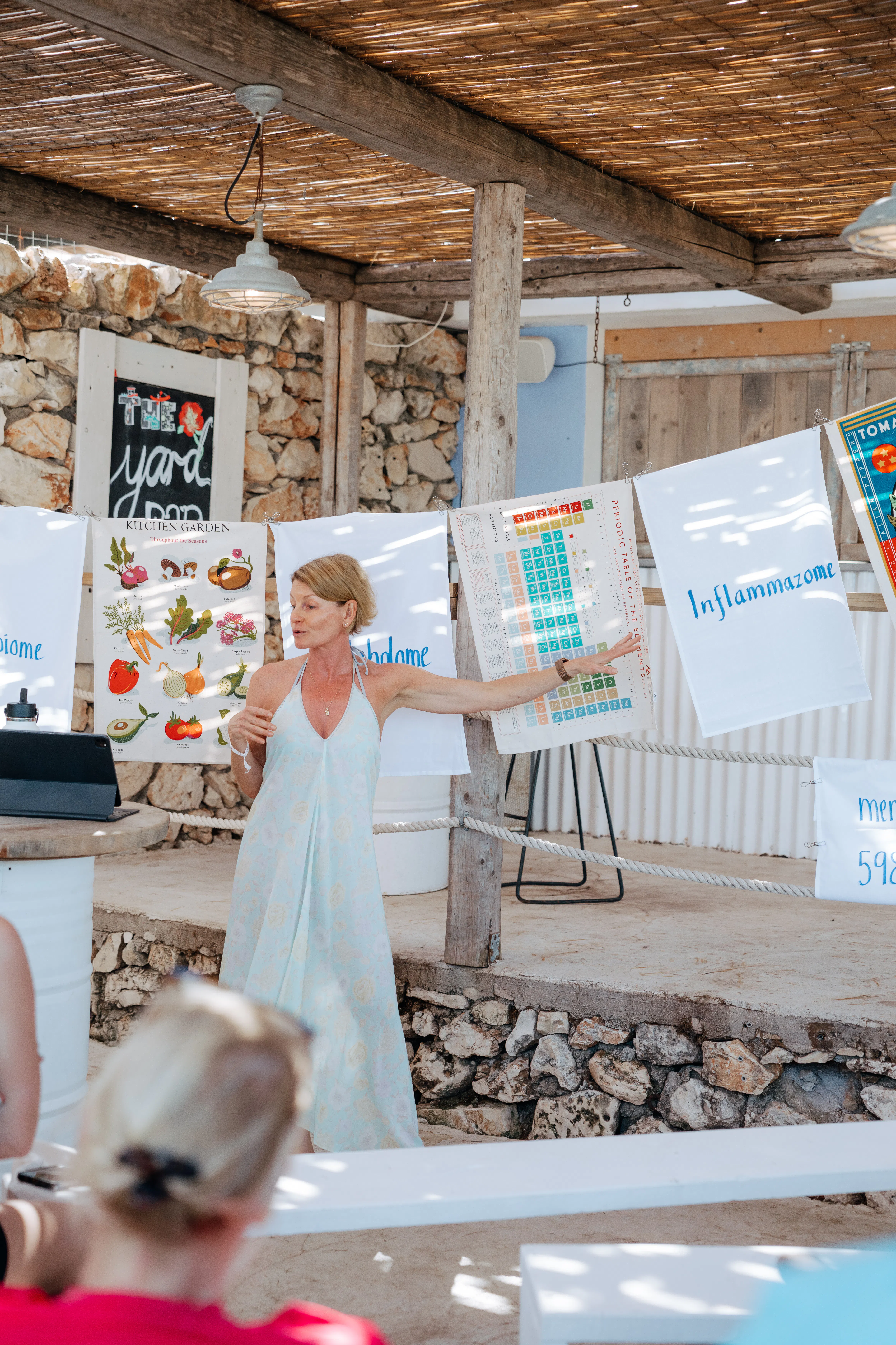 A woman in a blue dress stands in front of a series of posters about health, addressing a crowd of listeners off camera.